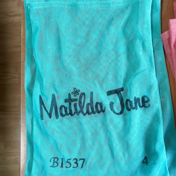 Matilda Jane mesh bags lot of 51 different sz & shapes paint by numbers series - Picture 3 of 10